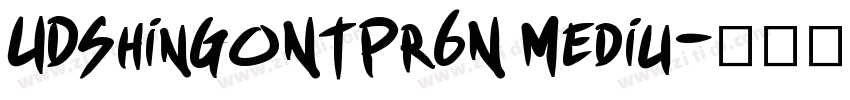 UDShinGoNTPr6N Mediu字体转换